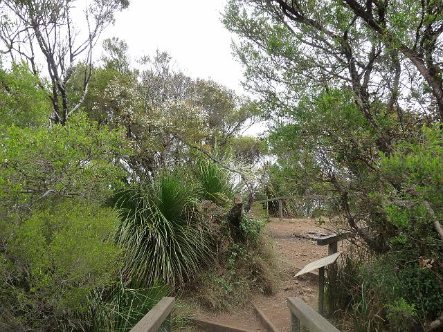 (7) Mount Warning Summit platform.JPG